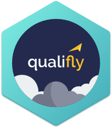 Qualifly curated crowdsourced testing
